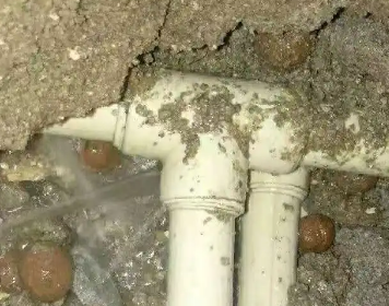 肇庆市测漏水多少钱