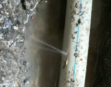 肇庆市测漏水哪家好