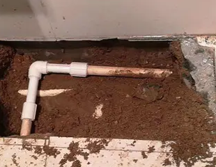 肇庆市测漏水哪家好