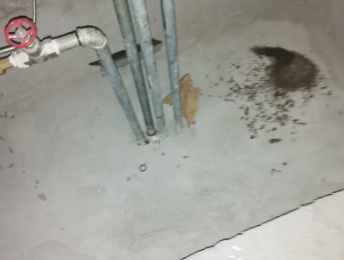 肇庆市卫生间测漏水价格明细