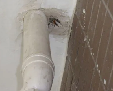 肇庆市漏水检测哪家好